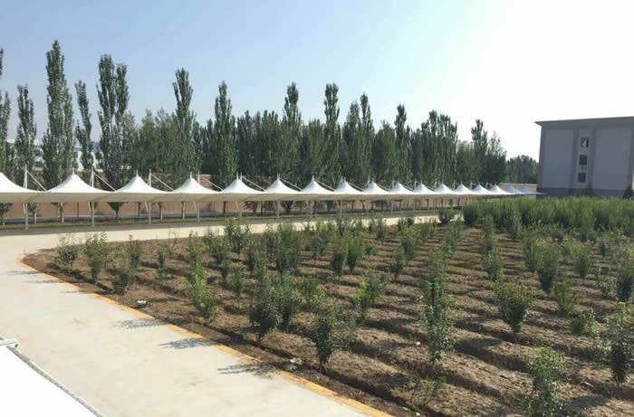 ���ͺ����ٹ���Ĥ�Y��܇��